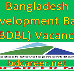 BDBL Career Opportunity