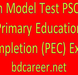 PSC PEC Math Model Test