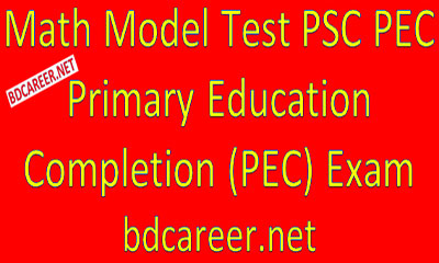 PSC PEC Math Model Test