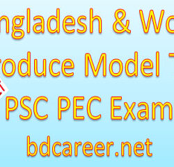 PSC PEC Bangladesh World Introduce Model Test