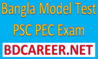 PSC Bangla Model Test 2020