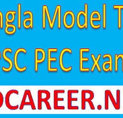 PSC Bangla Model Test 2020