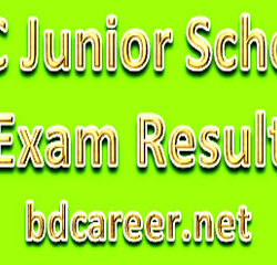 Junior School Exam Result