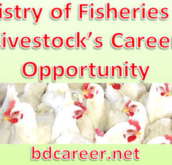 Ministry Fisheries Livestock Career