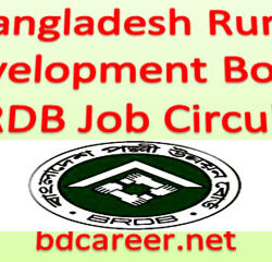BRDB Job Circular