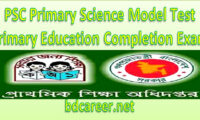 Primary Science Model Test 2019