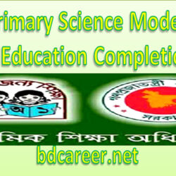 Primary Science Model Test 2019