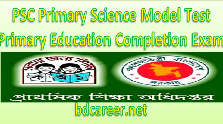 Primary Science Model Test 2019