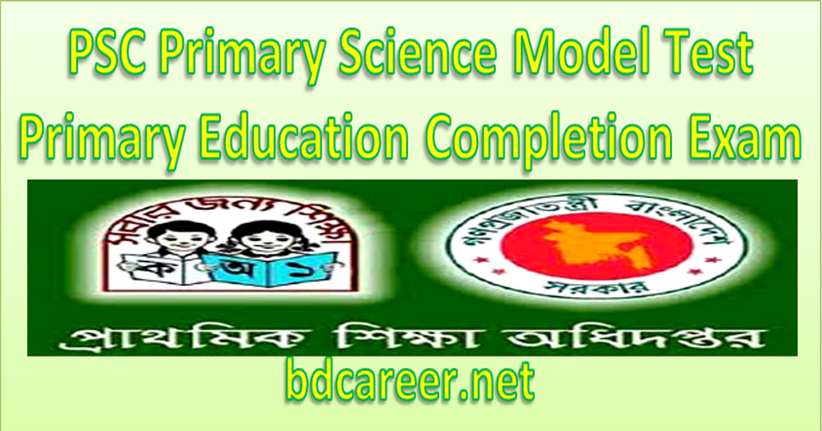 Primary Science Model Test 2019