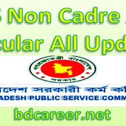 BCS Non Cadre Job Circular
