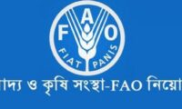 fao-job-circular