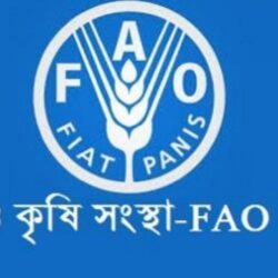 fao-job-circular
