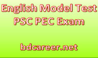PSC PEC English Model Test 2021