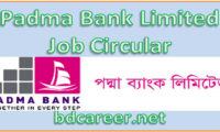 Padma Bank Limited Job Circular 2020