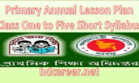 Primary School Annual Lesson Plan 2021