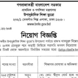 BNFE Job Circular 2023