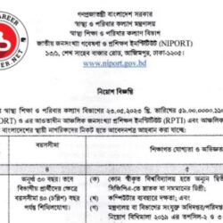 NIPORT Job Circular