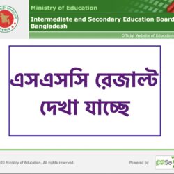 SSC Result 2023 -All Boards with Marksheet