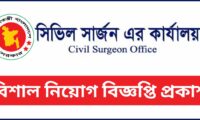 Civil Surgeon Job