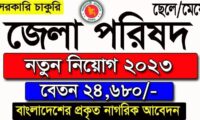 Zilla Parishad Office Job