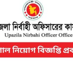 Upazila Parishad Job