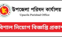 Upazila Parishad Job