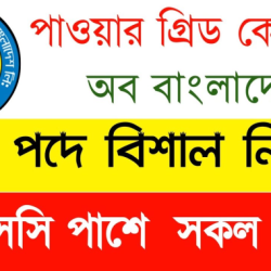 PGCB Job Circular