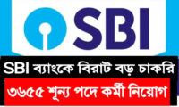 sbi Job Circular