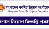 (BFIDC) Job circular