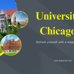 University of Chicago's