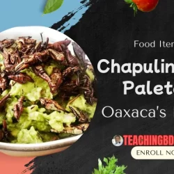 Chapulines to Paletas