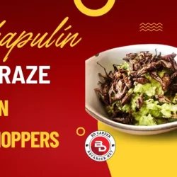 Mexican Grasshoppers