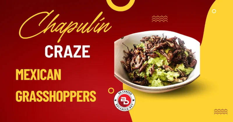 Mexican Grasshoppers